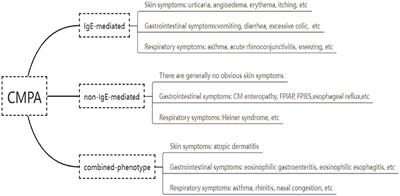 Research progress on the mechanism of probiotics regulating cow milk allergy in early childhood and its application in hypoallergenic infant formula